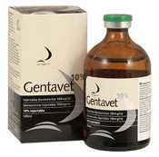 Gentavet 10% Injectable 100ml