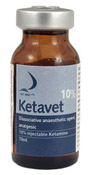 Ketavet 10% Injectable 10ml