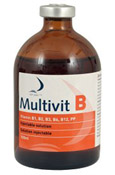Multivet B Injectable 100ml