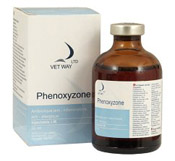 Phenoxyzone Injectable 50ml